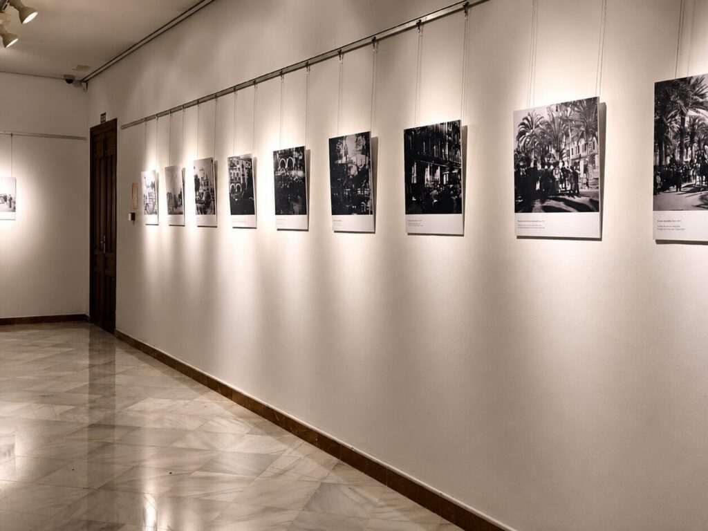 Proyectos museísticos